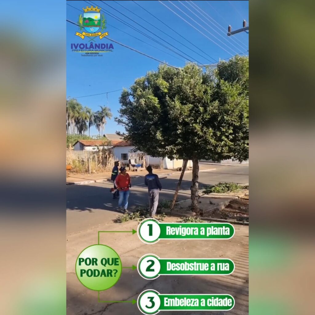 Realização de Poda das árvores da Cidade